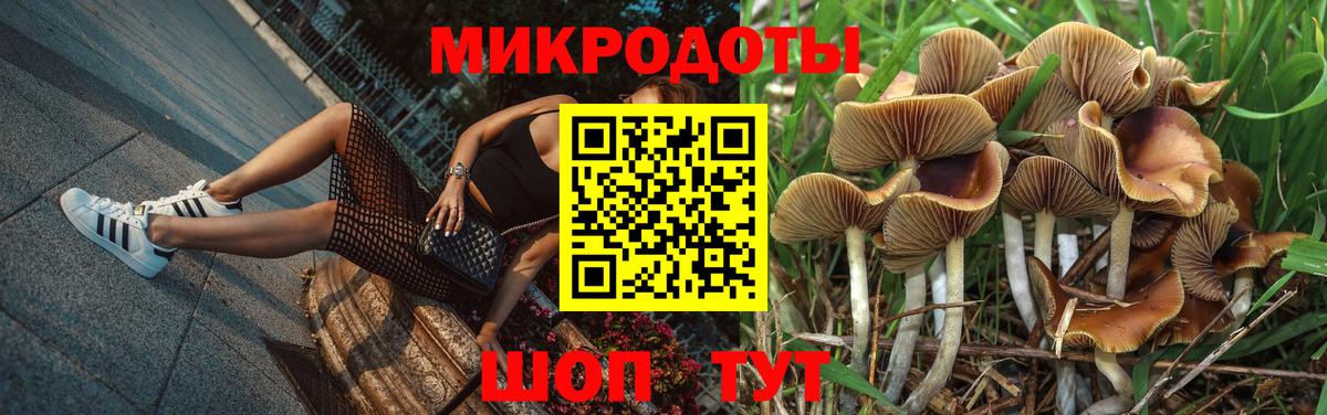 Мурманск  Псилоцибиновые грибы прущие грибы  цены   Вход с VPN 